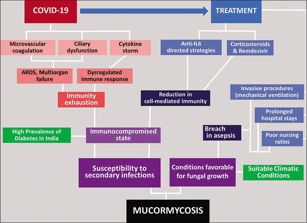Cascade of events in COVID-associated mucormycosis.