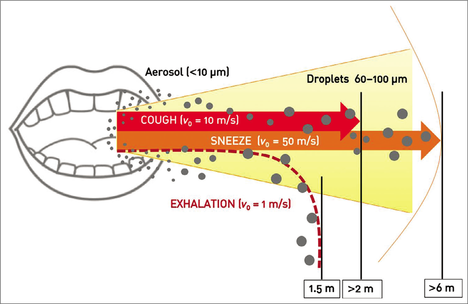 Exhalation distances of aerosol microparticles and large droplets. Original picture with data taken from Xie et al.[11]