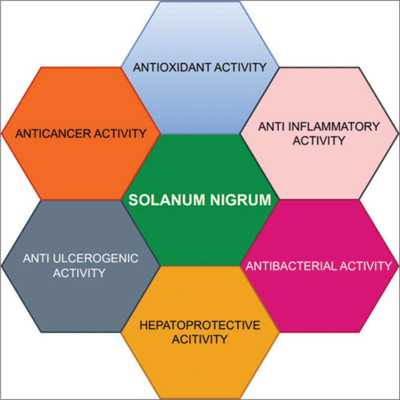 Properties of Solanum nigrum (SN).